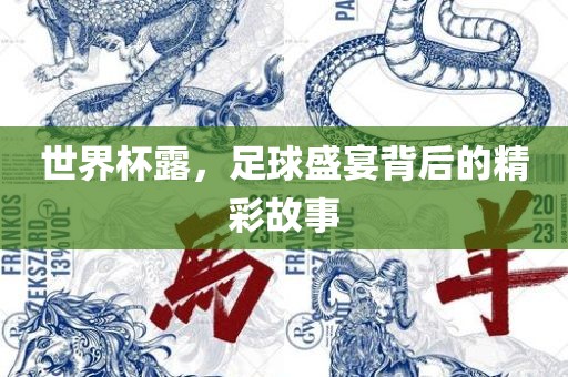 广西贺州市华昌新材料有限公司世界杯露，足球盛宴背后的精彩故事