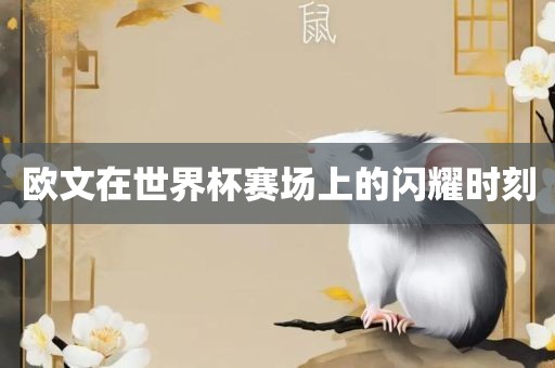 欧文在世界杯赛场上的闪耀时刻
