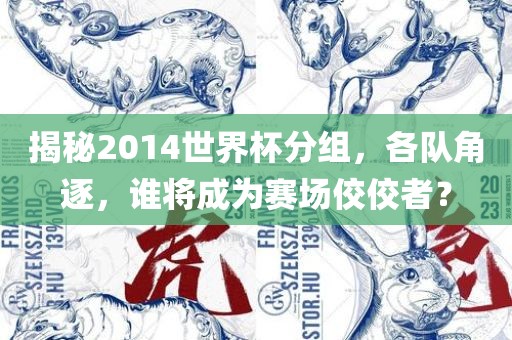 揭秘2014世界杯分组，各队角逐，谁将成为赛场佼佼者？