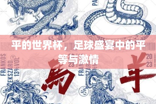 平的世界杯，足球盛宴中的平等与激情广西贺州市华昌新材料有限公司