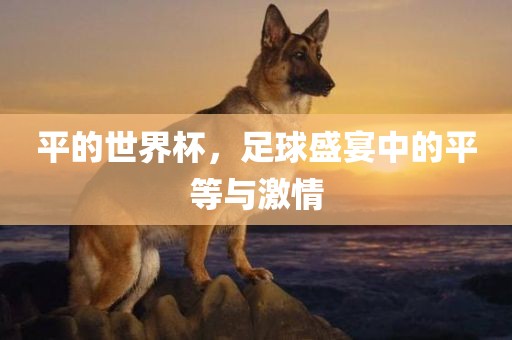 平的世界杯，足球盛宴中的平等与激情广西贺州市华昌新材料有限公司