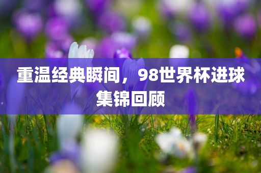 重温经典瞬间，98世界杯进球集锦回顾广西贺州市华昌新材料有限公司