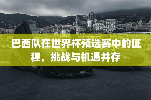 巴西队在世界杯预选赛中的征程，挑战与机遇并存广西贺州市华昌新材料有限公司
