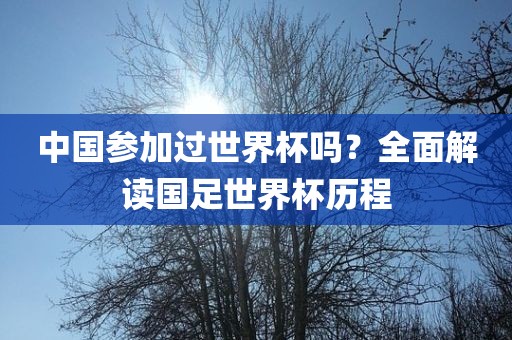 中国参加过世界杯吗？全面解读国足世界杯历程广西贺州市华昌新材料有限公司