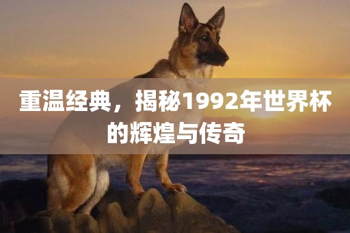 重温经典，揭秘1992年世界杯的辉煌与传奇