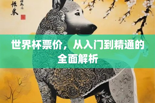 世界杯票价，从入门到精通的全面解析