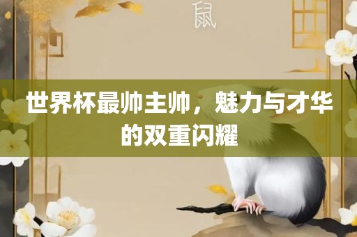 世界广西贺州市华昌新材料有限公司杯最帅主帅，魅力与才华的双重闪耀
