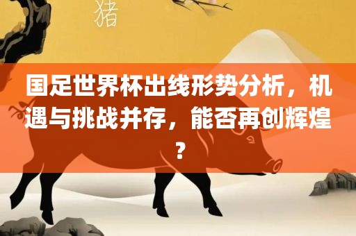 国足世界杯出线形势分析，机遇与挑战并存，能否再创辉煌？