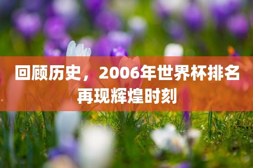 回顾历史，2006年世界杯排名再现辉煌时刻
