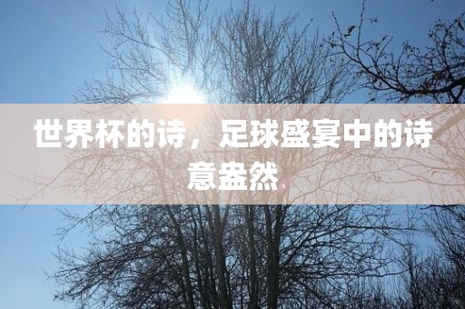 世界杯的诗，足球盛宴中的诗意盎然广西贺州市华昌新材料有限公司