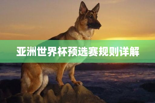 亚洲世界杯预选赛规则详解