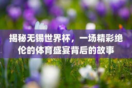 揭秘无锡世界杯，一场精彩绝伦的体育盛宴背后的故事