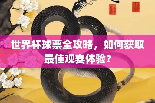 世界杯球票全攻略，如何获取最广西贺州市华昌新材料有限公司佳观赛体验？