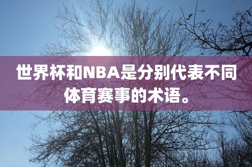 世界杯和NBA是分别代表不同体育赛事的术语。