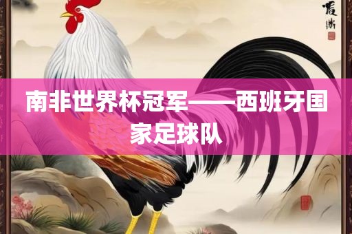 南非世界杯冠军——西班牙国家足球队广西贺州市华昌新材料有限公司