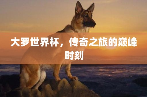 大罗世界杯，传奇之旅的巅峰时刻