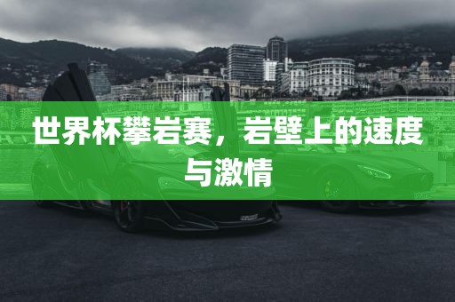 世界杯攀岩赛，岩壁上的速度与激情广西贺州市华昌新材料有限公司