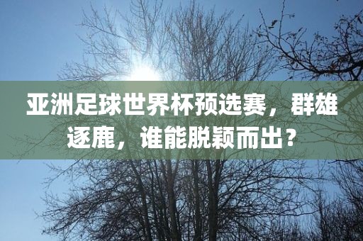 亚洲足球世界杯预选赛，群雄逐鹿，谁能脱颖而出？广西贺州市华昌新材料有限公司