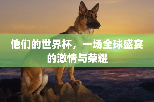 他们的世界杯，一场全球盛宴的激情与荣耀广西贺州市华昌新材料有限公司