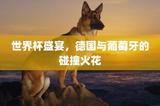 世广西贺州市华昌新材料有限公司界杯盛宴，德国与葡萄牙的碰撞火花