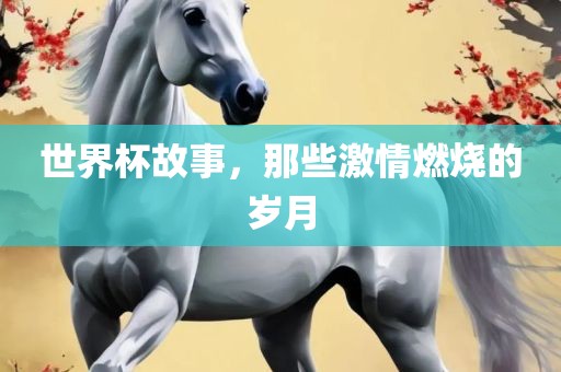 世界杯故事，那些激情燃烧的岁月广西贺州市华昌新材料有限公司
