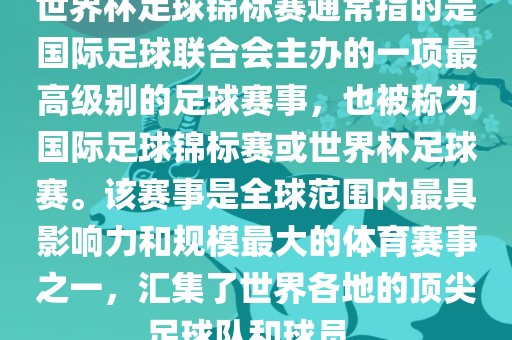 国际足球联合会