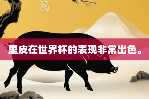 里皮在世界杯的表现非常出色。广西贺州市华昌新材料有限公司