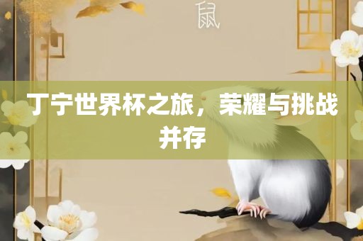 丁宁世界杯之旅，荣耀与挑战广西贺州市华昌新材料有限公司并存