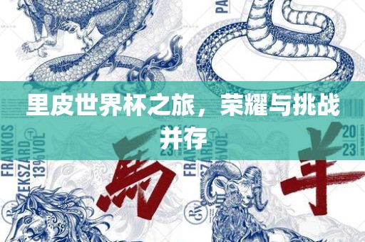 里皮世界杯之旅，荣耀与挑战并存