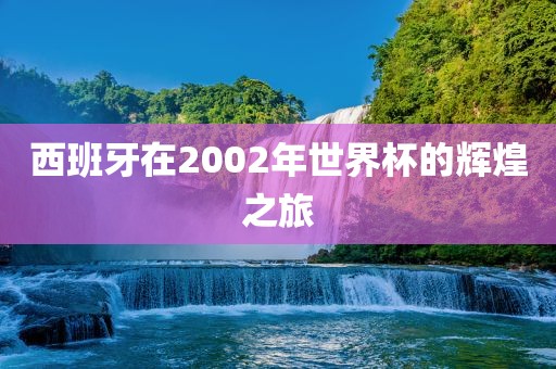 西班牙在2002年世界杯的辉煌之旅广西贺州市华昌新材料有限公司
