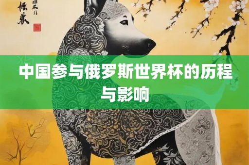 中国参与俄罗斯世界杯的历程与影响