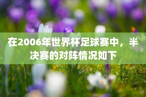 在2006年世界杯足球赛中，半决赛的对阵情况如下广西贺州市华昌新材料有限公司