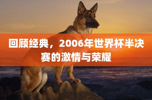 回顾经典，2006年世界杯半决赛的激情与荣耀广西贺州市华昌新材料有限公司