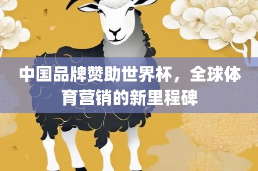 中国品牌赞助世界杯，全球体育营销的新里程碑广西贺州市华昌新材料有限公司