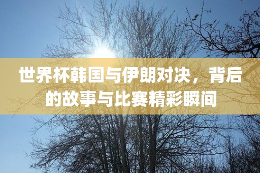 世界杯韩国与伊朗对决，背后的故事与比赛精彩瞬间