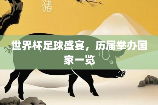 世界杯足球盛宴，历届举办国家一览广西贺州市华昌新材料有限公司