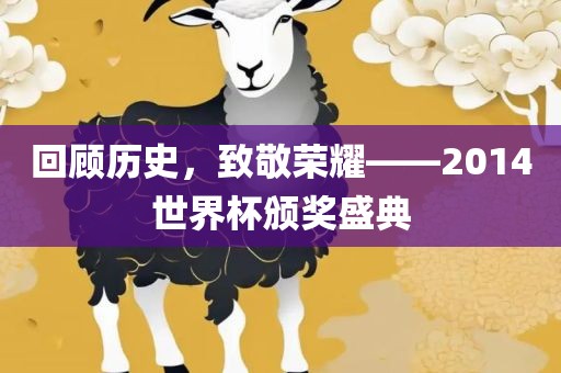 回顾历史，致敬荣耀——2014世界杯颁奖盛典