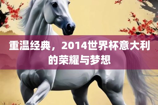 重温经典，2014世界杯意大利的荣耀与梦想广西贺州市华昌新材料有限公司