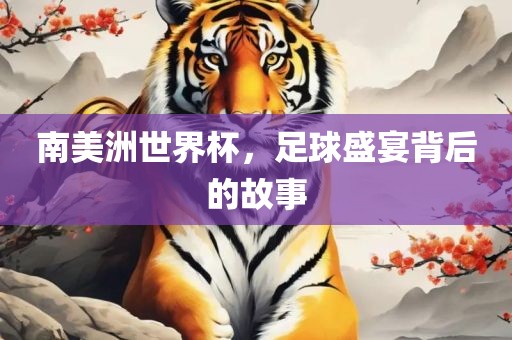 南美洲世界杯，足球盛宴背后的故事广西贺州市华昌新材料有限公司