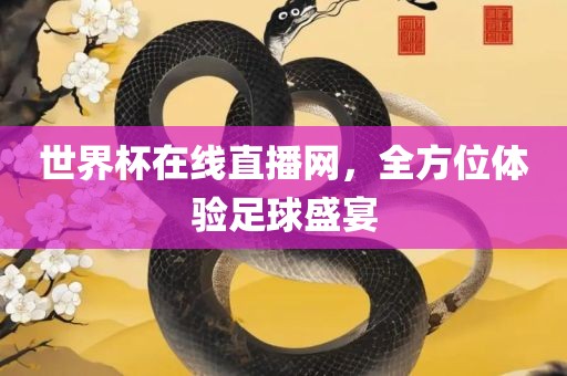 世界杯在线直播网，全方位体验足球盛宴