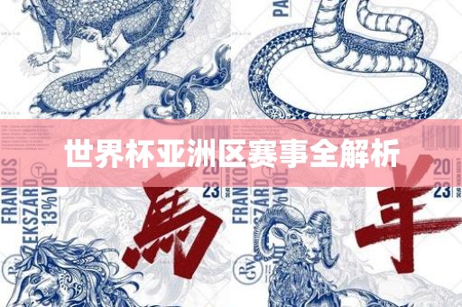世界杯亚洲区赛事全解析