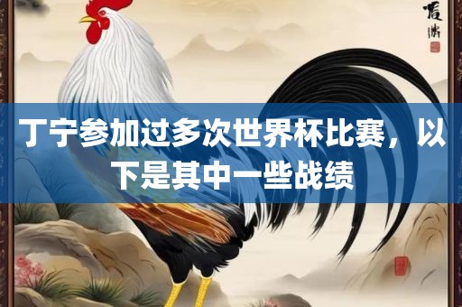 丁宁参加过多次世界杯比赛，以下是其中一些战绩广西贺州市华昌新材料有限公司