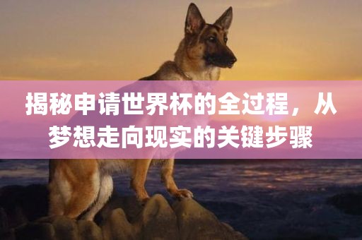 揭秘申请世界杯的全过程，从梦想走向现实的关键步骤广西贺州市华昌新材料有限公司