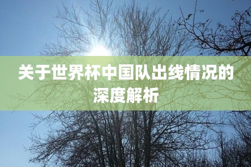 关于世界杯中国队出线情况的深度解析广西贺州市华昌新材料有限公司