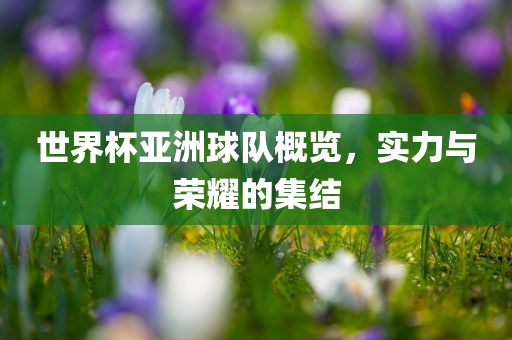 世界杯亚洲球队概览，实力与荣耀的集结