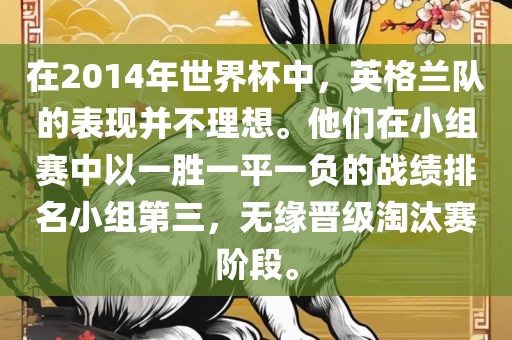 在2014年世界杯中，广西贺州市华昌新材料有限公司英格兰队的表现并不理想。他们在小组赛中以一胜一平一负的战绩排名小组第三，无缘晋级淘汰赛阶段。