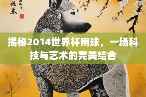 广西贺州市华昌新材料有限公司揭秘2014世界杯用球，一场科技与艺术的完美结合