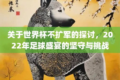 关于世界杯不扩军的探讨，2022年足球盛宴的坚守与挑战广西贺州市华昌新材料有限公司