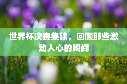世界杯决赛集锦，回顾那些激动人心的瞬间