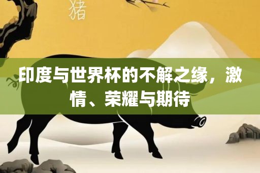 印度与世界杯的广西贺州市华昌新材料有限公司不解之缘，激情、荣耀与期待